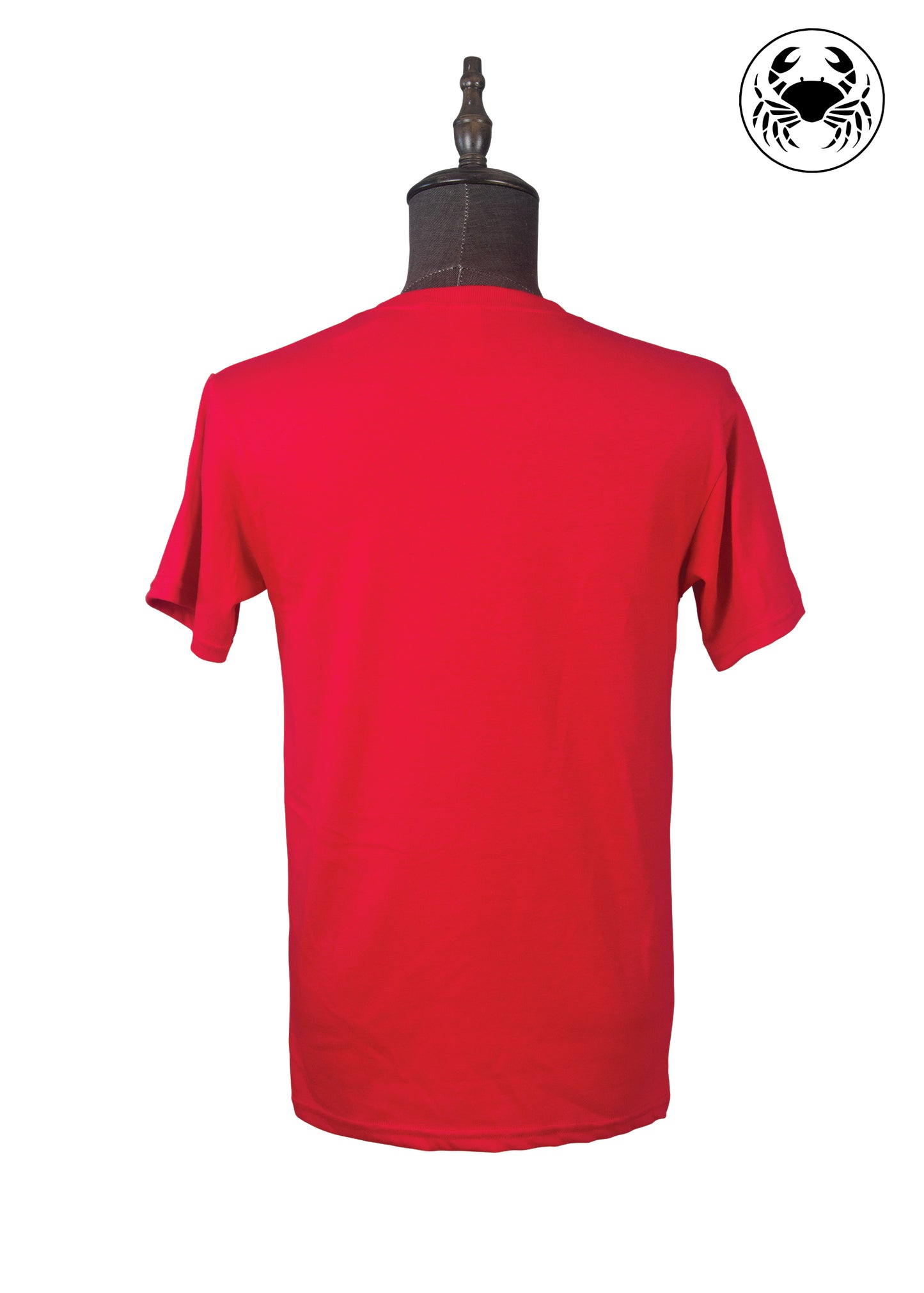 Back view of plain red Belleville ON t-shirt, unisex fit