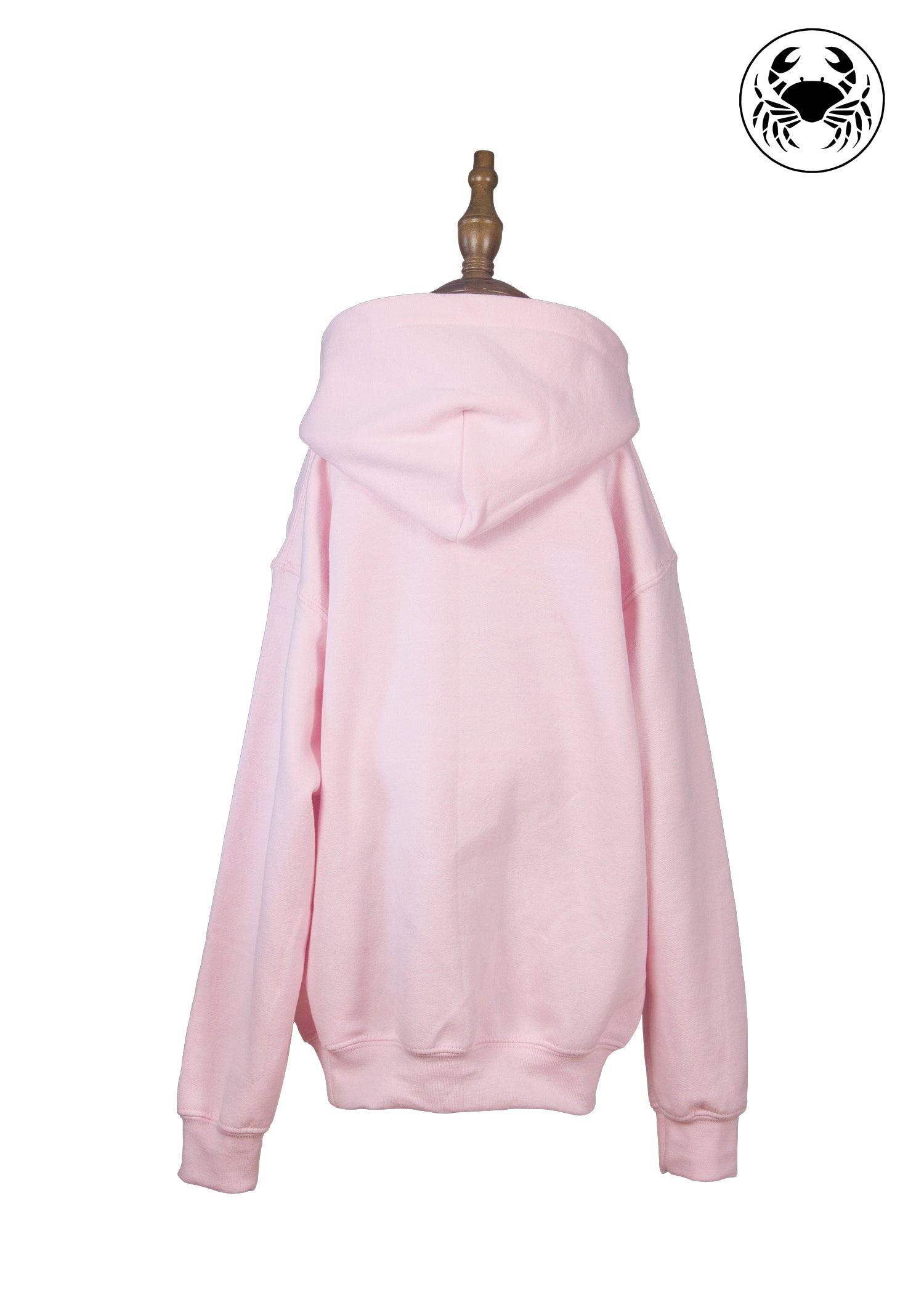 Back of Pink hoodie with 'True North' text and moose graphic on front, cozy Canadian-style unisex apparel