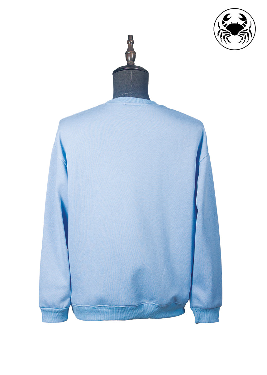 Back view of Karkata NC Boutique sky blue embroidered sweatshirt