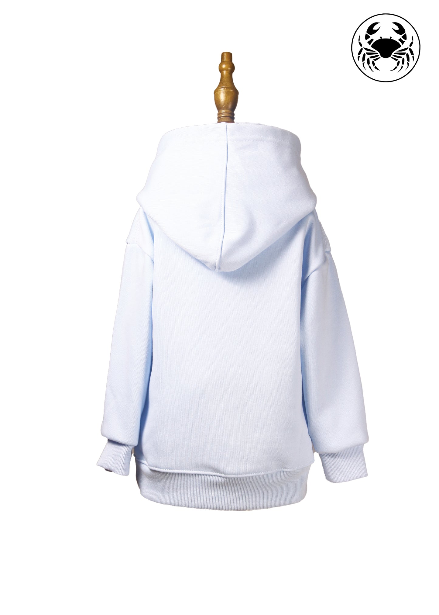 Back view of sky blue hoodie for kids, butterfly embroidery on front, Canadian apparel